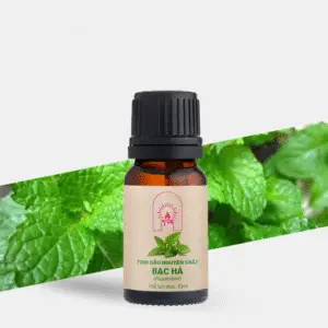 Tinh dầu bạc hà