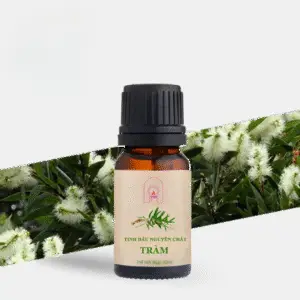 Tinh dầu tràm